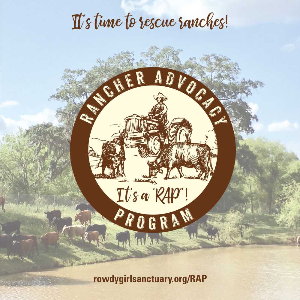 Kat Mendenhall vegan boots main street vegan